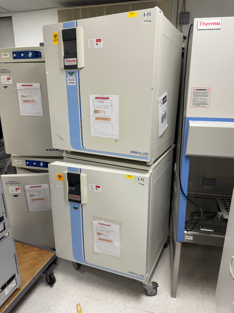 Image of Thermo HERAcell 240i Double Stack CO2 Incubator